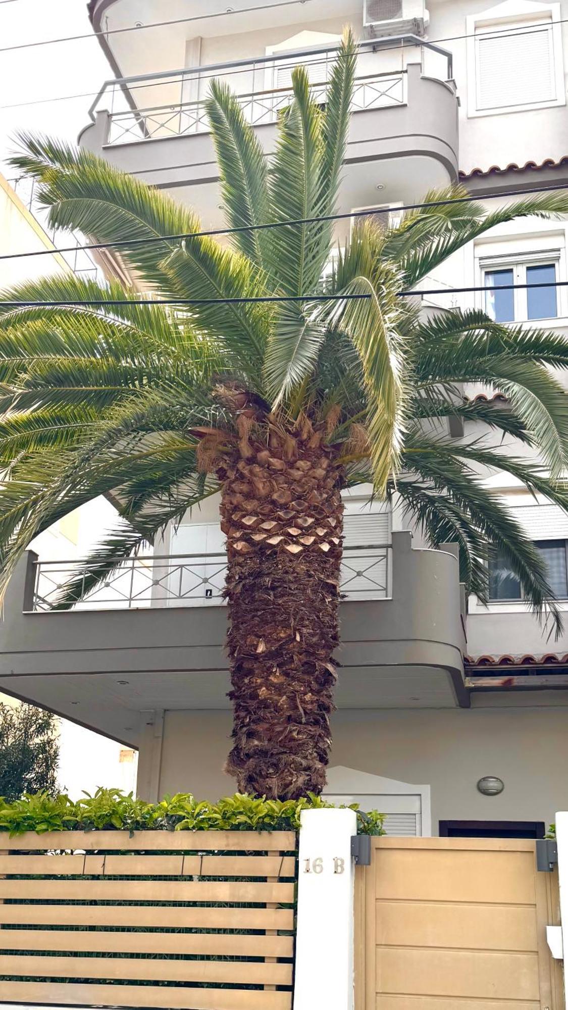 Elegant Glyfada Apartment-Private Garden-Near Metro Athen Eksteriør billede